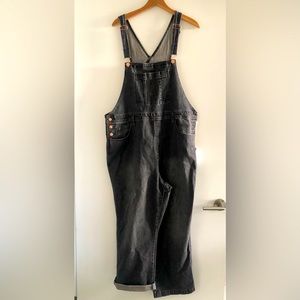 NWT Universal Thread Overalls